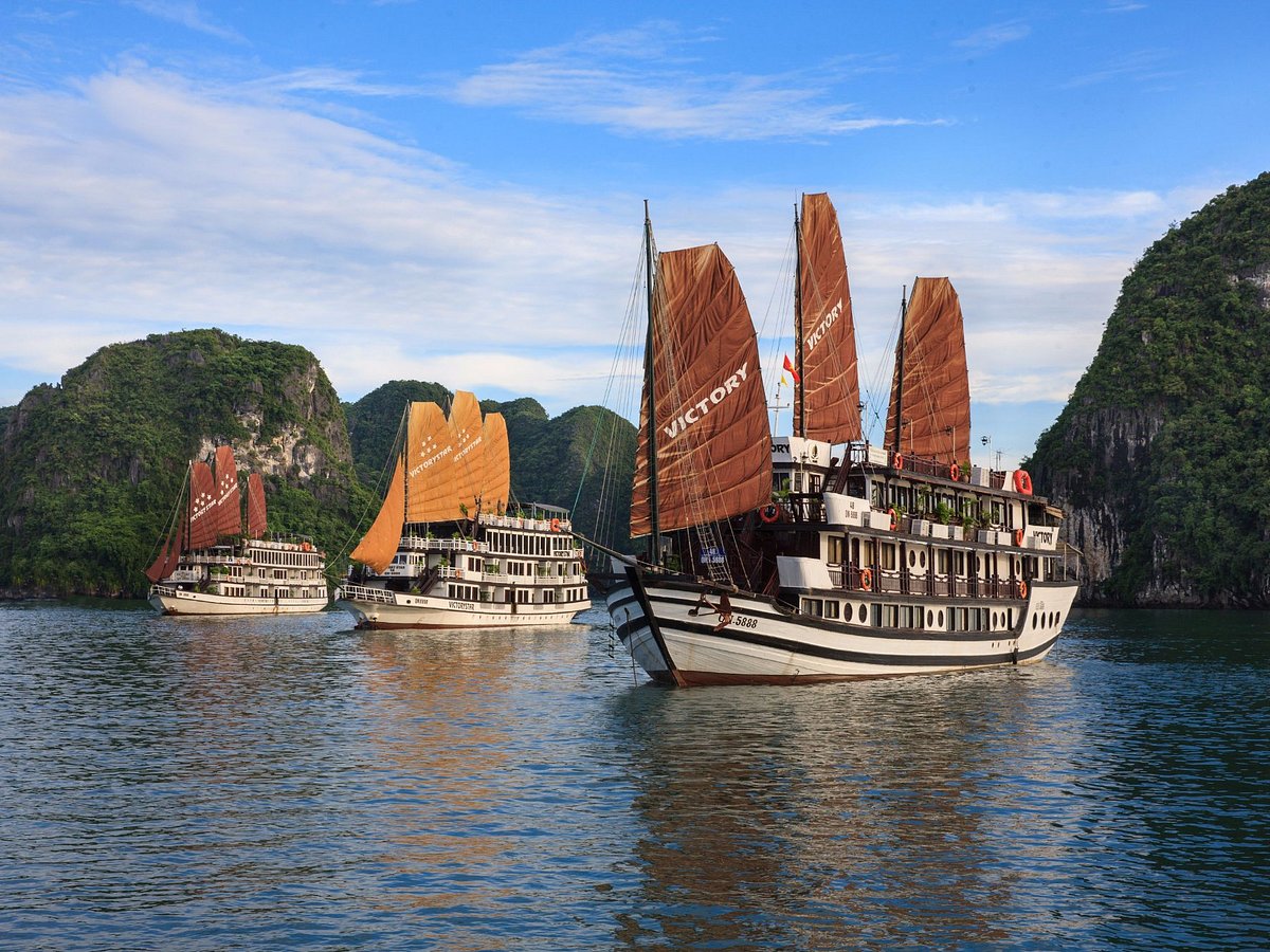 Bai Tho Junks has established itself as a pioneer in the Halong Bay cruise industry