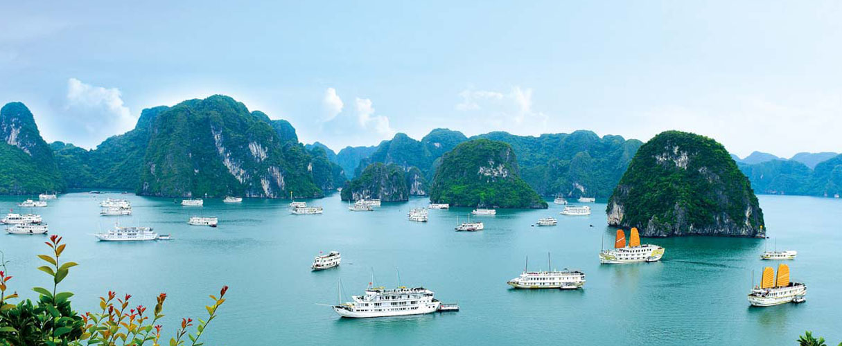 Halong Bay with many cruises 