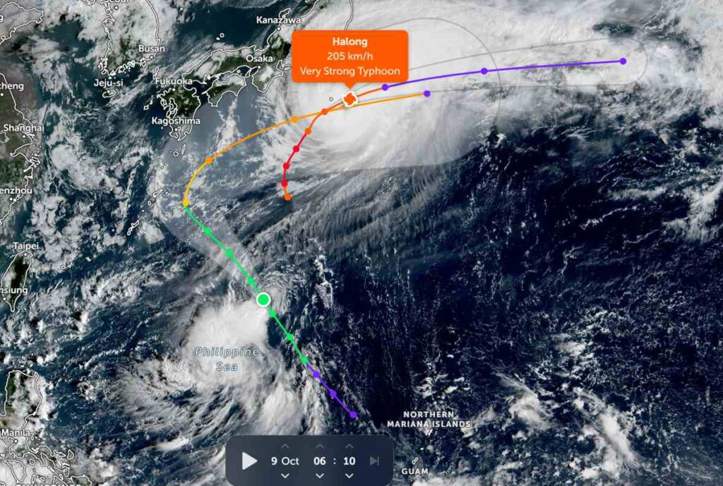 When Does a Storm Cause Cruise Cancellations?